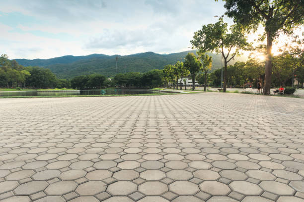 Best Best Driveway Pavers  in Potosi, MO